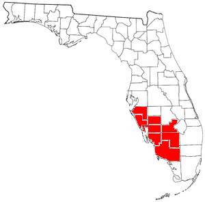 SW Florida