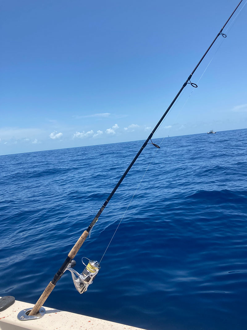fishing rod in florida waters